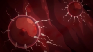 Thumbnail of post image 101