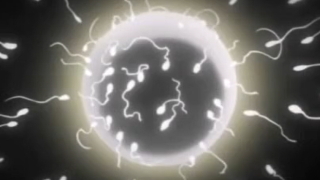 Thumbnail of post image 087